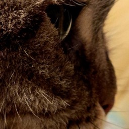 Profile picture for user jen