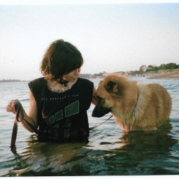 Profile picture for user Danielle King